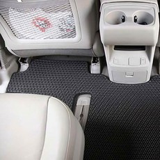 그랜드카니발썬그라스케이스