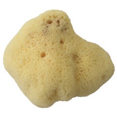 천연해면신생아용