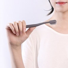 생활도감 칫솔세트, 12개입, 1세트