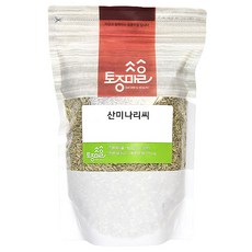 돌미나리씨