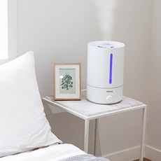 신일 울트라소닉 손세척 가습기 5L, SUH-D300SJ
