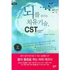 [좋은땅]뇌를 살리는 치유 기술 CST (개정판), 좋은땅, 정인수