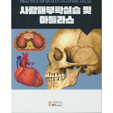 [메디컬스타]사람해부학실습 및 아틀라스, 메디컬스타, 진수진