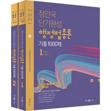 정인국행정법