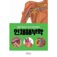 그림으로보는근골격해부학pdf