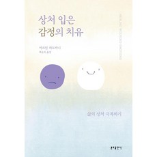상처 입은 감정의 치유:삶의 상처 극복하기, 분도출판사, 마르틴 파도바니