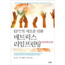 EFT의 새로운 진화 매트릭스 리임프린팅:당신의 과거를 다시 써라, 김영사