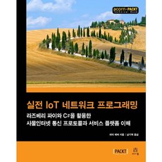 실전 IoT 네트워크 프로그래밍:라즈베리파이와 C#을 활용한 사물인터넷 통신프로토콜과 서비스플랫폼 이해