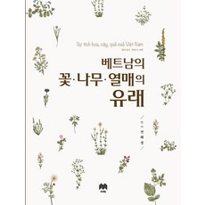 베트남한국사전