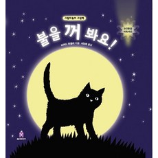 [보림]불을 꺼 봐요! : 그림자놀이 그림책 - 아티비티(Art + Activity (팝업북), 보림, 리처드 파울러