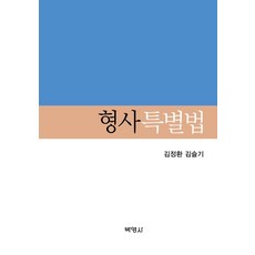 형사특별법김정철