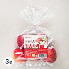 곰곰 GAP 청송사과, 1kg, 3봉