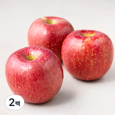 곰곰 당도선별 사과, 1kg, 2팩