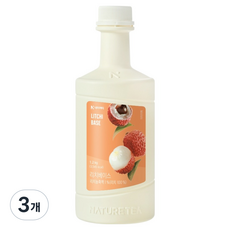 네이쳐티 리치베이스, 1.2kg, 3개