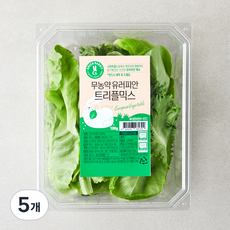 그린래빗 무농약 인증 유러피안 트리플믹스 샐러드, 100g, 5개