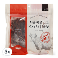 원더푸드 반려동물 저온숙성 건조 육포 300g, 3개, 소고기