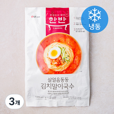 한반 살얼음동동 김치말이국수 2인분 (냉동), 1046g, 3개