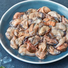 산지직송 부산 13번 중매인 홍합살 (냉장), 1개, 500g