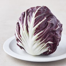 국내산 유기농 라디치오, 300g, 1개, 1개입