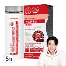 뉴트리디데이 키토산 올 뉴 퍼펙트, 112정, 5개
