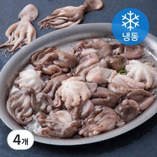 알찬해 손질 주꾸미 (냉동), 500g, 4개