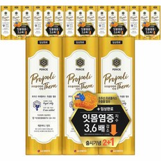 페리오 프로폴리테라 치약 레몬허니민트, 100g, 18개