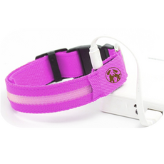 멍멍군나비양 강아지 USB 충전식 LED 야광목줄