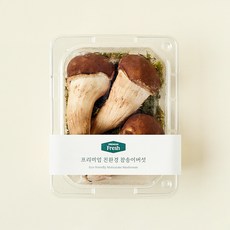 프리미엄 친환경 참송이버섯, 100g, 1개 1개, 100g