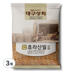 대구상회 호라산밀, 1kg, 3개