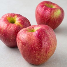 고당도 청송 사과, 1kg(3입), 1개