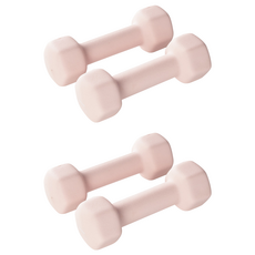앳플리 LW 미용 아령, 2kg, 4개