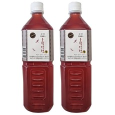 프리미엄 오미자 자일로스 청, 1L, 1개입, 2개