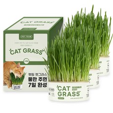 펫팀 고양이 캣그라스, 새싹밀, 3개