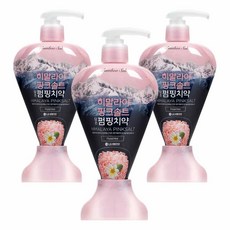 LG생활건강 밤부솔트 히말라야 핑크솔트 펌핑치약 플로럴, 285g, 3개