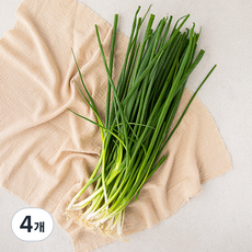 국내산 실파, 200g, 4개 200g, 4개