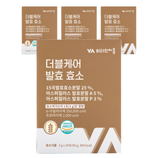 비타민마을 와이즈 더블케어 발효 효소, 90g, 4개