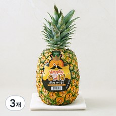 스미후루 감숙왕 허니골드 파인애플, 3개