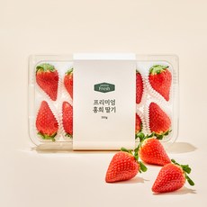 프리미엄 홍희 딸기, 1개, 350g(10~12과)