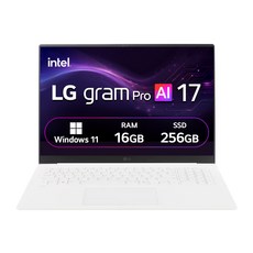 LG전자 2026 그램 Pro AI 17 코어Ultra5, 17Z90U-GS5CK, 256GB, 16GB, WIN11 Home
