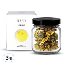 꽃을담다 미니 국화꽃차, 3g, 1개입, 3개