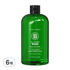 블랙페블 올인원 쿨링 클린 웨이브 남성청결제, 6개, 500ml