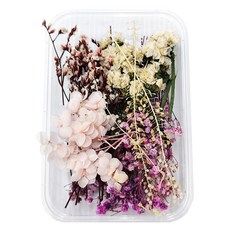 A-ONE 匯旺 乾燥花 A09 粉白黛綠, 2入, 1個