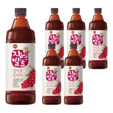 진미 3년숙성 자연발효 감식초 오미자, 950ml, 6개