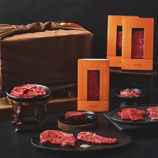 설로인 한우 1++등급 플래티넘 선물세트 (냉장) 갈비살200g+살치살200g+채끝200g+꽃등심300g+차돌박이200g+안심150g+안심추리150g, 2100g, 1세트