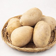 국내산 골든킹 감자, 900g, 1봉