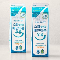 맛있는우유GT 소화 잘되는 배 안아픈 우유, 900ml, 2입
