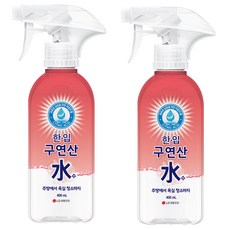한입 구연산수 용기, 400ml, 2개