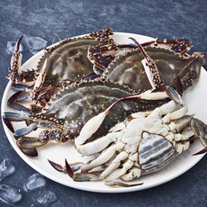 어부심 산지직송 서해안 제철 알배기 암꽃게 (냉장), 1kg(3~5미), 1개