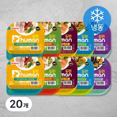  듀먼 강아지 닭가슴살 화식 용기형 세트 (냉동), 채소, 빌베리, 토마토, 초록입홍합, 연어, 100g, 20개 