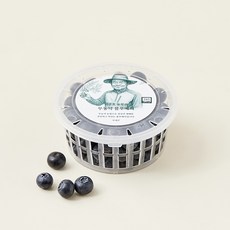이광호 농부의 무농약 블루베리, 1개, 100g(대과) 1개, 100g(중과)